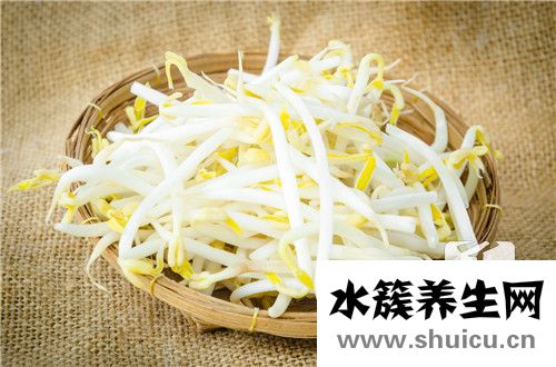 綠豆芽的營養價值