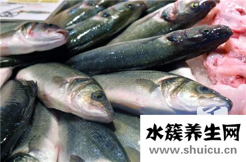 魚湯怎么燉