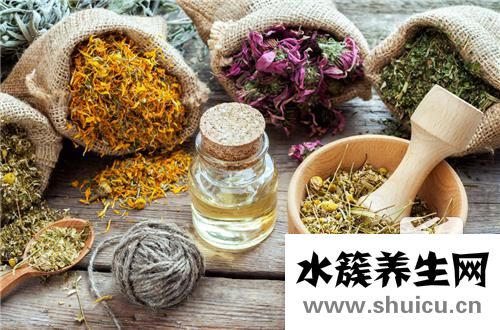 昆侖雪菊的功效