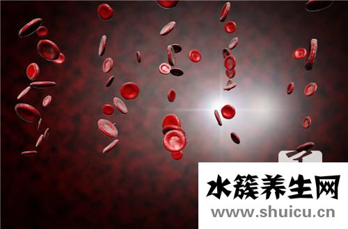 血常規檢查什么