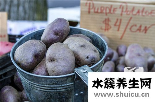 馬鈴薯發芽能吃嗎