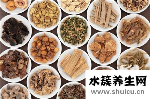 參苓白術丸的功效