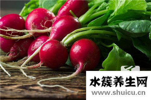 蘿卜羊肉湯的做法