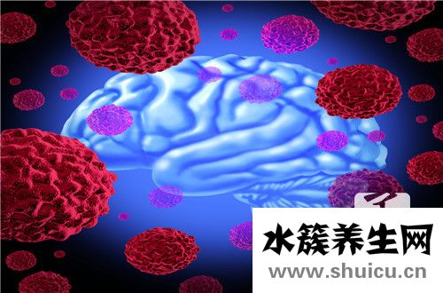 轉氨酶高吃什么