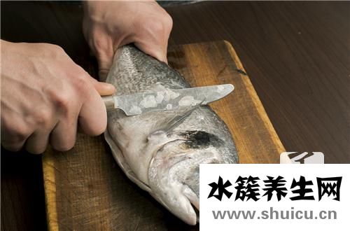 石斑魚火鍋