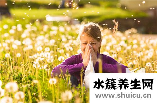 一帆風順花有毒嗎