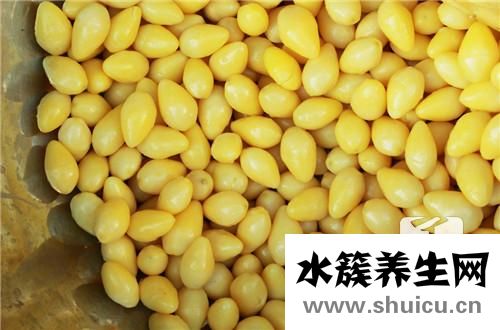 銀杏樹的特點(diǎn)