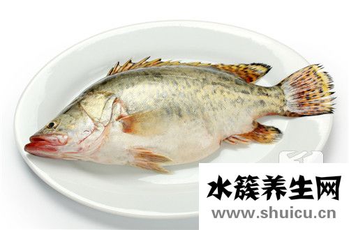 火焙魚