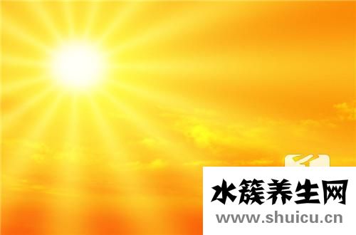 曬太陽有什么好處