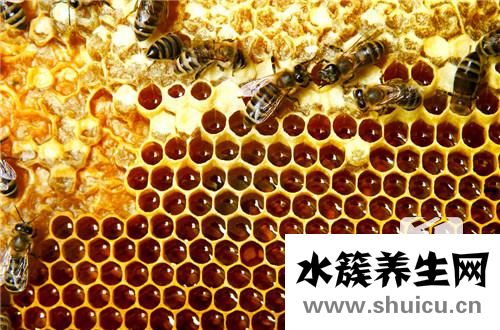 蜂巢怎么吃