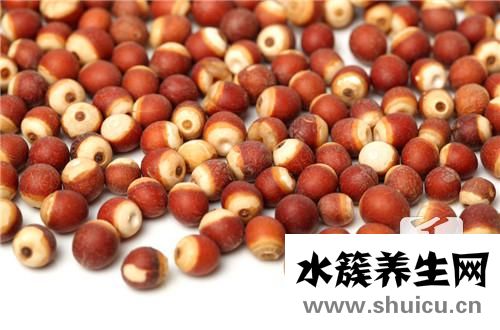 山藥薏米芡實粥