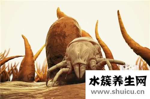 家里有蟑螂怎么辦