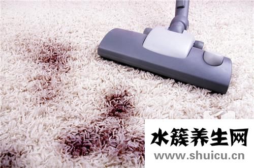 家里有蟑螂怎么辦