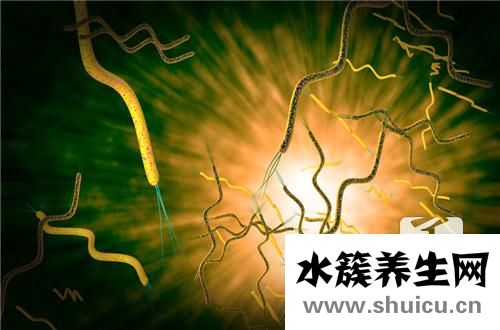 無(wú)乳鏈球菌