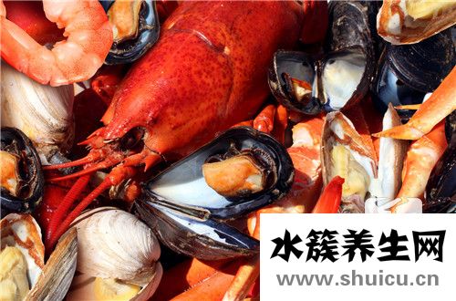 海參的營養(yǎng)價值