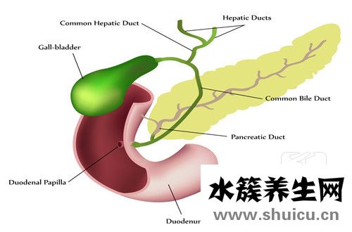 總膽紅素高是怎么回事
