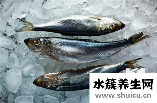 銀魚炒蛋