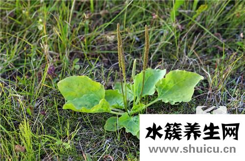 小腹墜痛是怎么回事