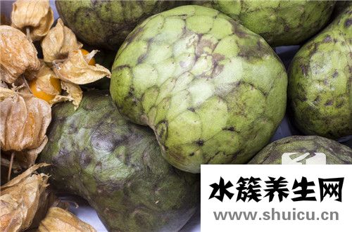 荔枝核的功效與作用