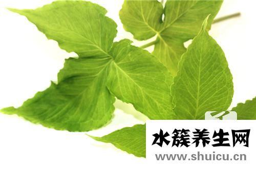 半夏白術天麻湯