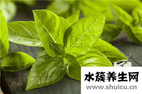 三七的功效與作用