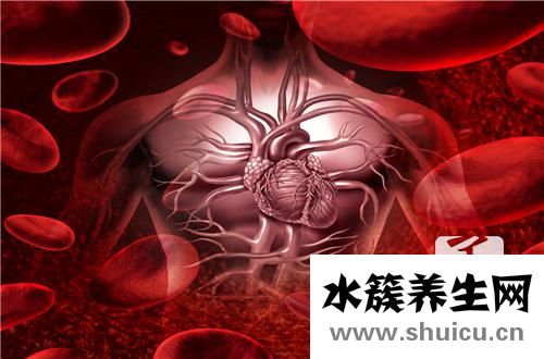 出血熱是什么病