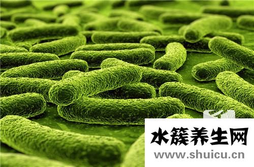 蛋白質(zhì)的作用