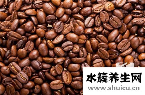 貓屎咖啡的由來