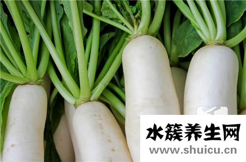 白蘿卜的功效與作用