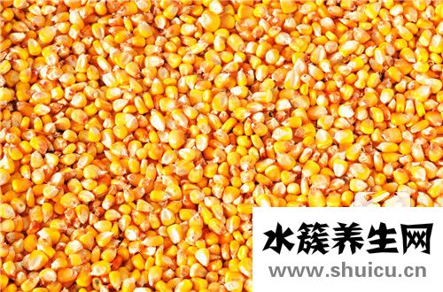 玉米餅的家常做法