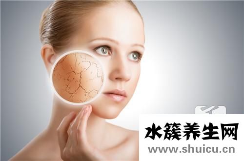 海參頭數是什么意思