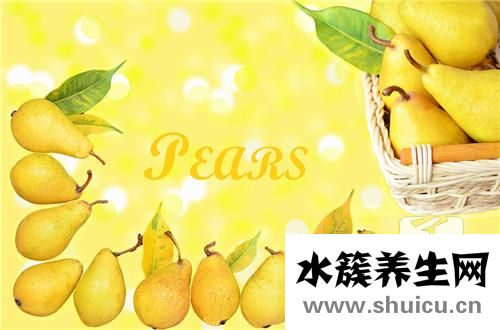 川貝燉雪梨的功效禁忌