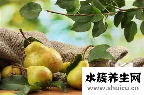 貝母蒸梨哪些人不能吃