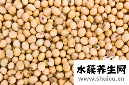 白扁豆一次最多吃幾粒