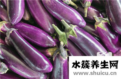 茄子把煮水功效與作用