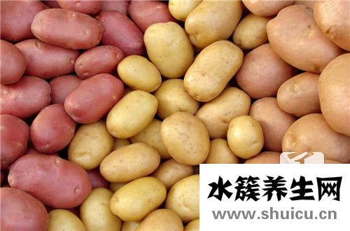 木薯的功效與作用