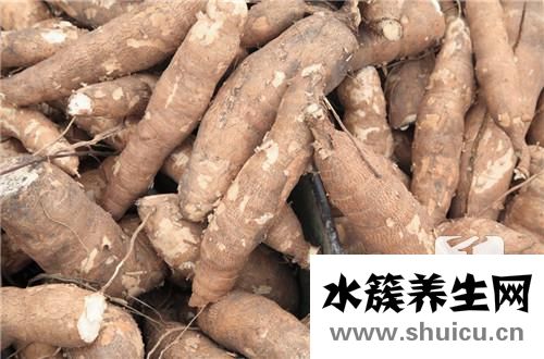 木薯的功效與作用