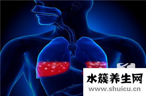 肺動(dòng)脈瓣輕度返流