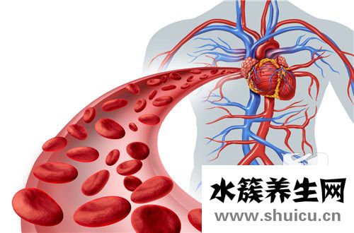 肺動(dòng)脈瓣輕度返流