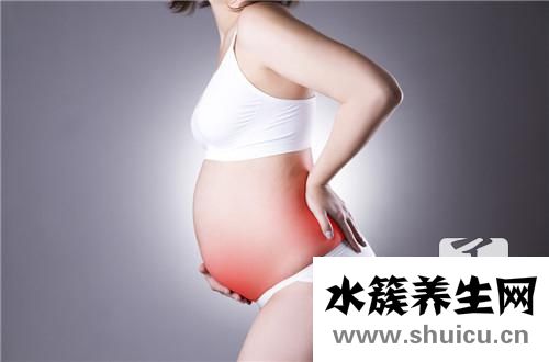 胎兒左心室強光斑