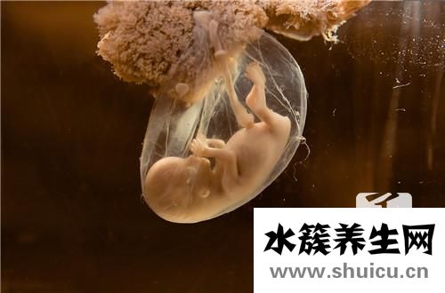 胎兒神經(jīng)管畸形