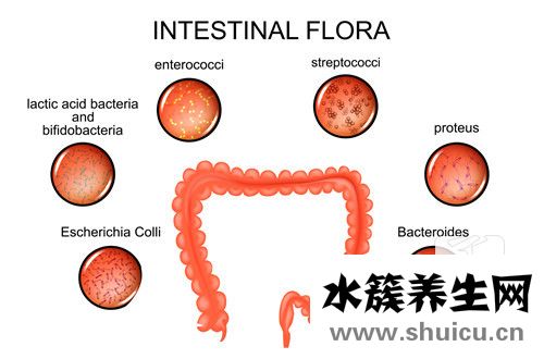 兒童腸系膜淋巴結炎