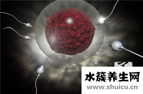 精子畸形率正常值