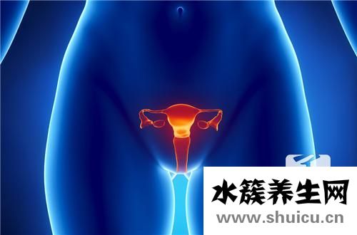 女人暖宮最好方法