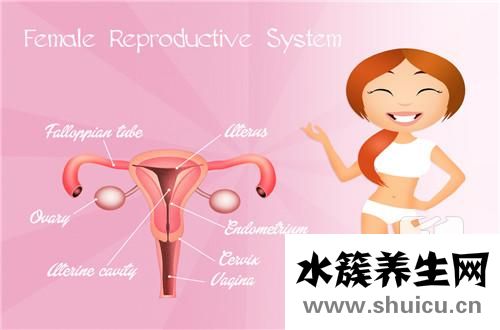 促卵泡成熟激素