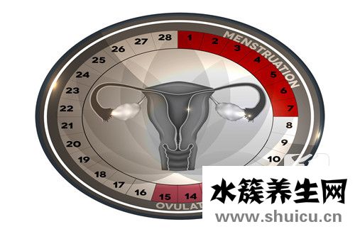 排卵后體溫變化