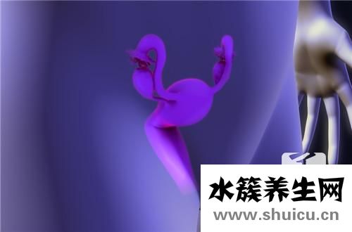 宮腔鏡手術需要住院嗎