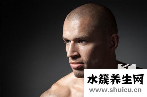 禿頂遺傳規(guī)律圖