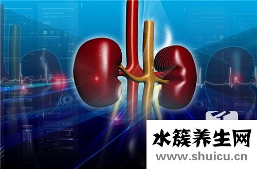 什么運(yùn)動(dòng)對腎好