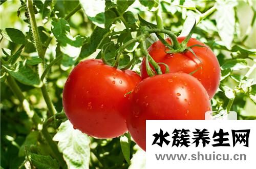 解決肚子脹氣最快方法